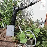 Apartment Le Cep D'or Alsace *