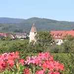 Le Cep D'or Alsace Apartment