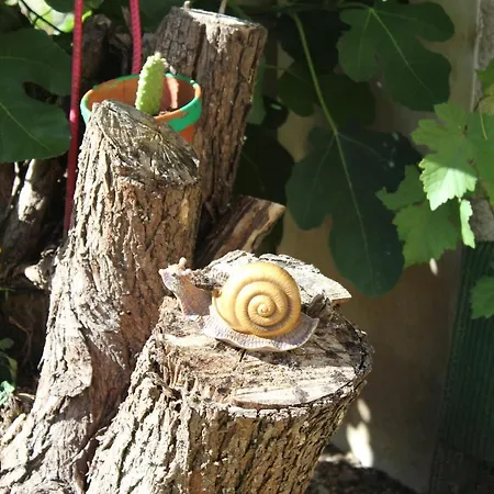 Le Cep D'or Alsace Apartament