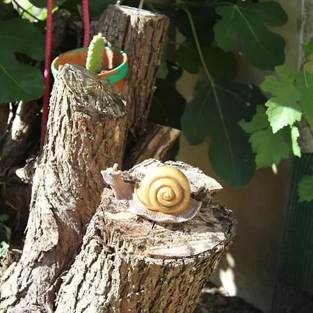 Appartamento Le Cep D'or Alsace Saint-Hippolyte (Haut-Rhin)