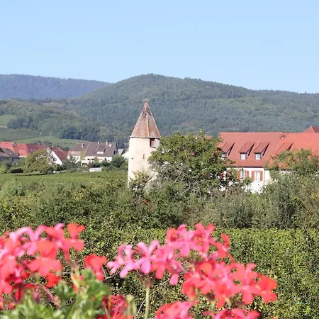 Le Cep D'or Alsace Appartamento