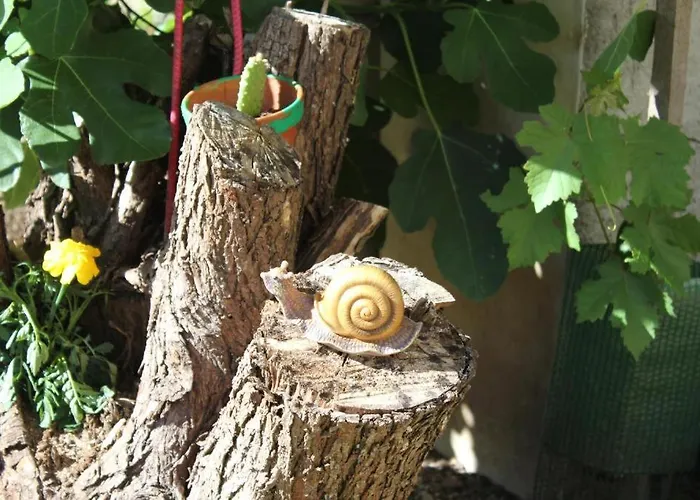 דירה Le Cep D'or Alsace סנט היפולייט