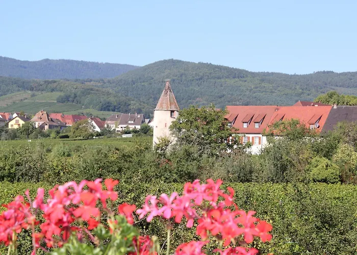 Le Cep D'or Alsace דירה